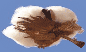 轮出条码补打系统